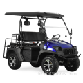 Mit EWG-Jeep-Stil 5KW Golf Cart SSV